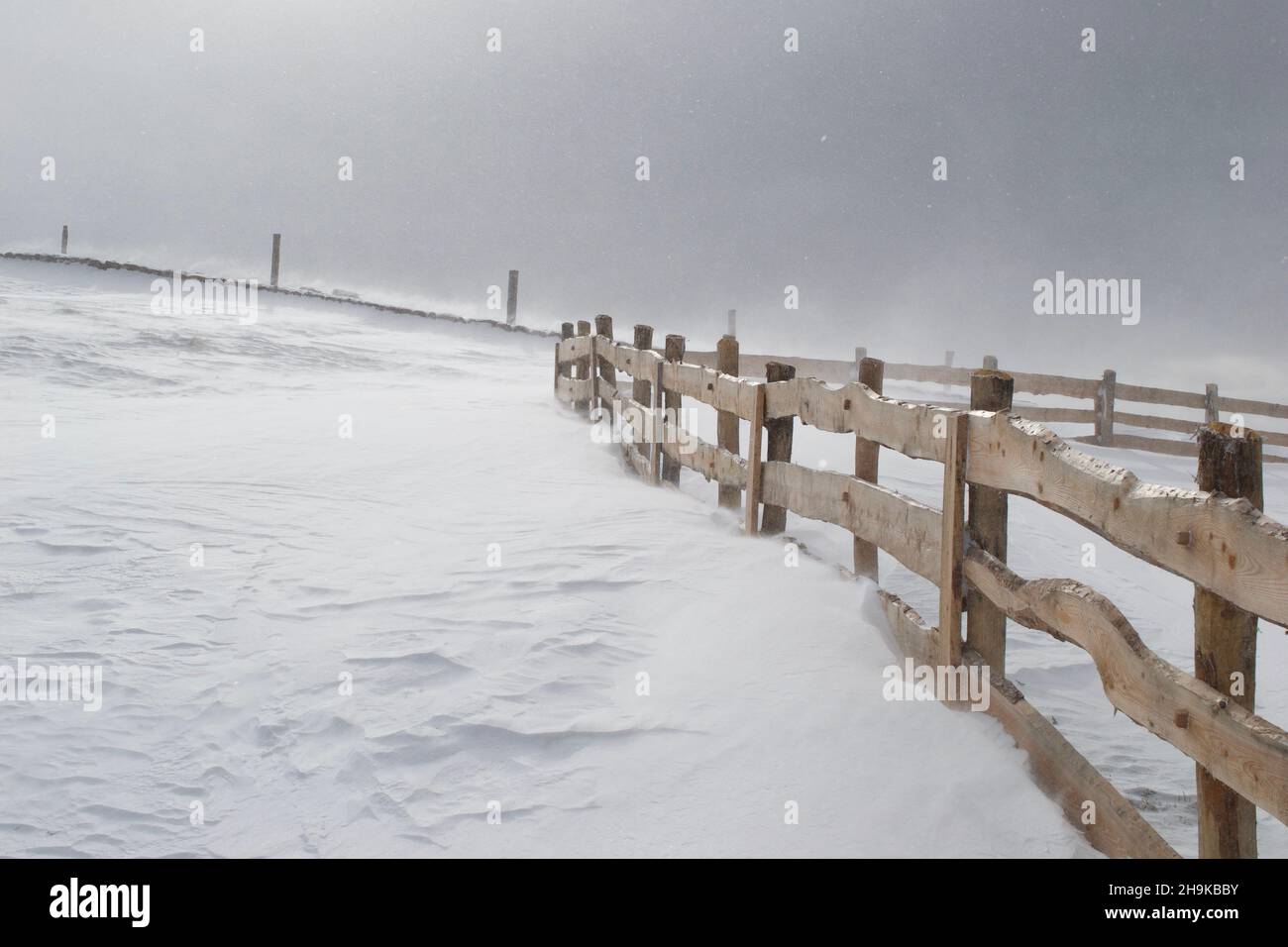 winter season snow storm Stock Photo