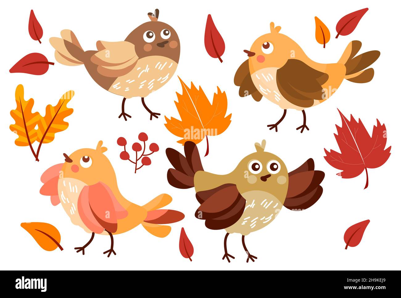 Set of birds Stock Vector Image & Art - Alamy