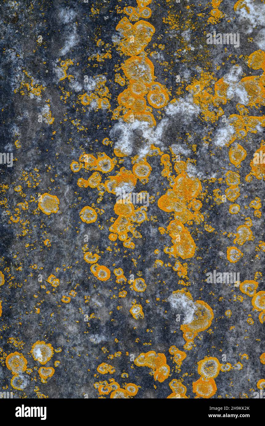 Gravestone detail closeup hi-res stock photography and images - Alamy