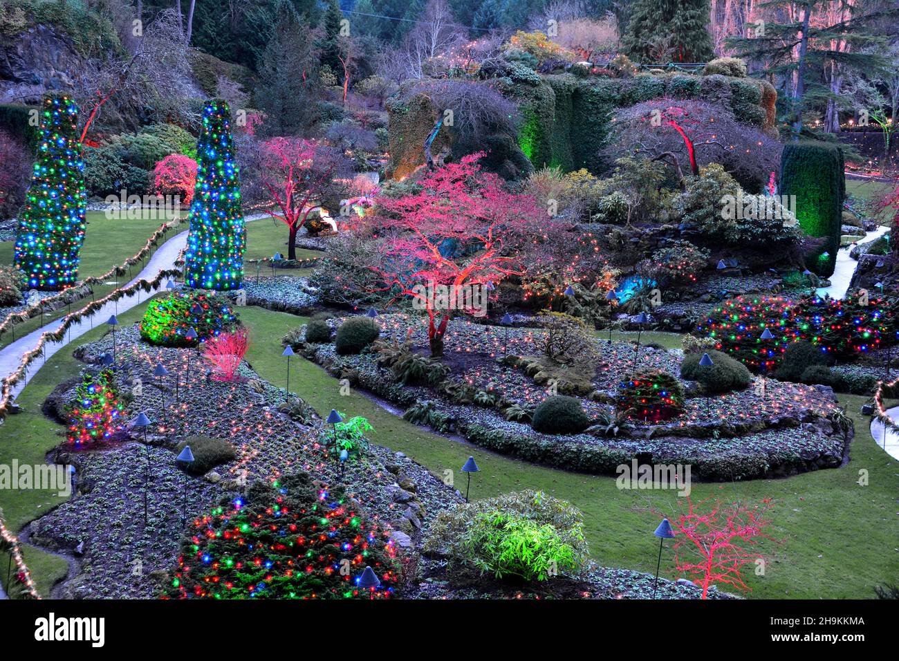 The sunken gardens at the Butchart Gardens at Christmas time in Victoria BC, Canada Stock Photo