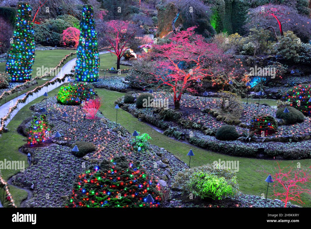The sunken gardens at the Butchart Gardens at Christmas time in Victoria BC, Canada Stock Photo