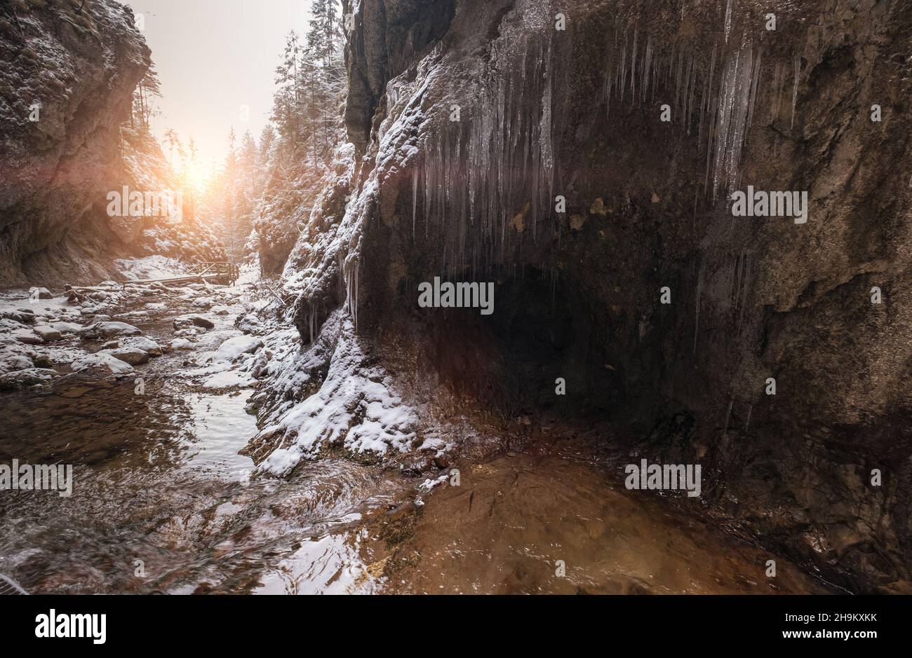 Flowing small creek running out icicle cave and washing big boulders. First sun rays lite young snow islands. Cold early winter mountain forest landsc Stock Photo