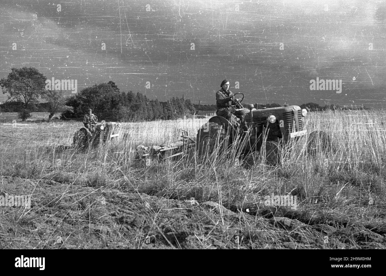 Warszyn, 1948-09. Brygada Traktorowa Zwi¹zku M³odzie¿y Polskiej pomaga w pracach polowych w maj¹tku Pañstwowych Nieruchomoœci Ziemskich (PNZ) w Warszynie. Nz. traktorzyœci na czeskich traktorach Zetor 25. msa  PAP    Dok³adny dzieñ wydarzenia nieustalony.      Warszyn, Sept. 1948. The Polish Youth Union Tractor Brigade helping in field work at the State Landed Property (PNZ) estate in Warszyn. Pictured: tractor drivers on Czech Zetor 25 tractors.  msa  PAP Stock Photo