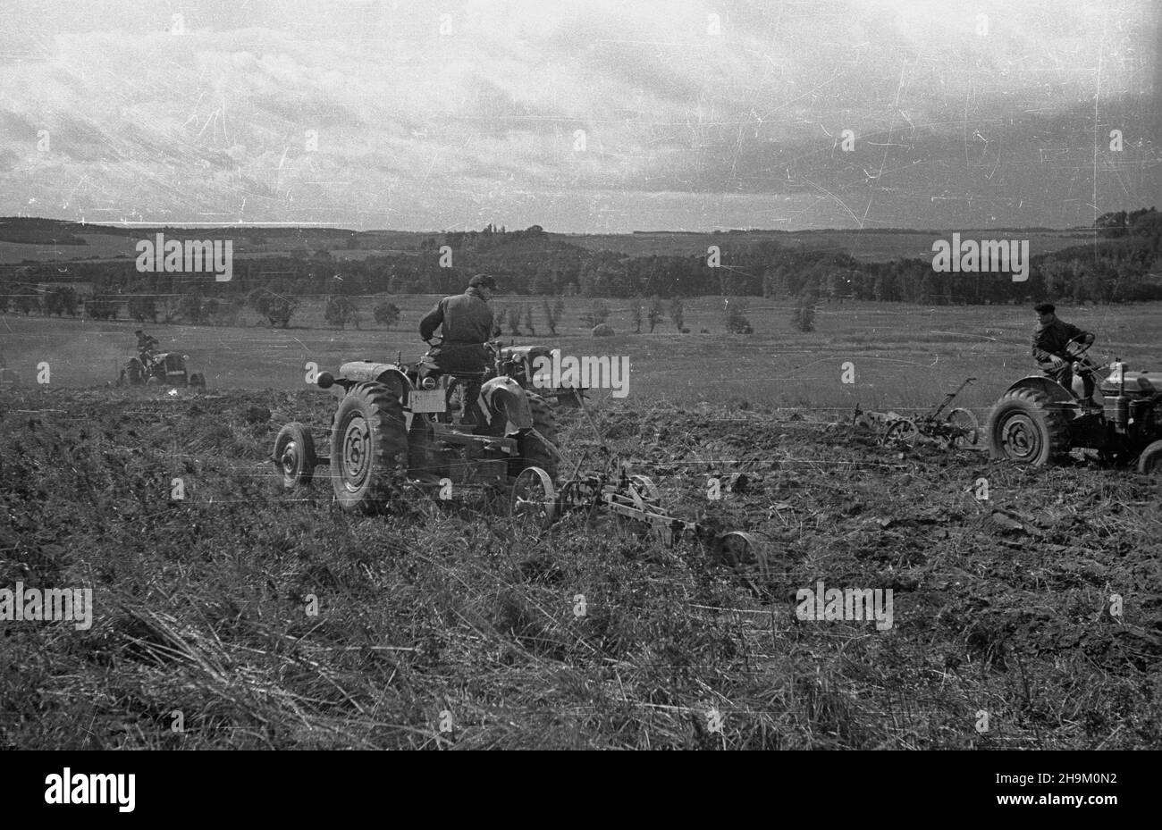 Warszyn, 1948-09. Brygada Traktorowa Zwi¹zku M³odzie¿y Polskiej pomaga w pracach polowych w maj¹tku Pañstwowych Nieruchomoœci Ziemskich (PNZ) w Warszynie. Nz. traktorzyœci na czeskich traktorach Zetor 25. msa PAP Dok³adny dzieñ wydarzenia nieustalony. Warszyn, Sept. 1948. The Polish Youth Union Tractor Brigade helping in field work at the State Landed Property (PNZ) estate in Warszyn. Pictured: tractor drivers on Czech Zetor 25 tractors. msa PAP Stock Photo