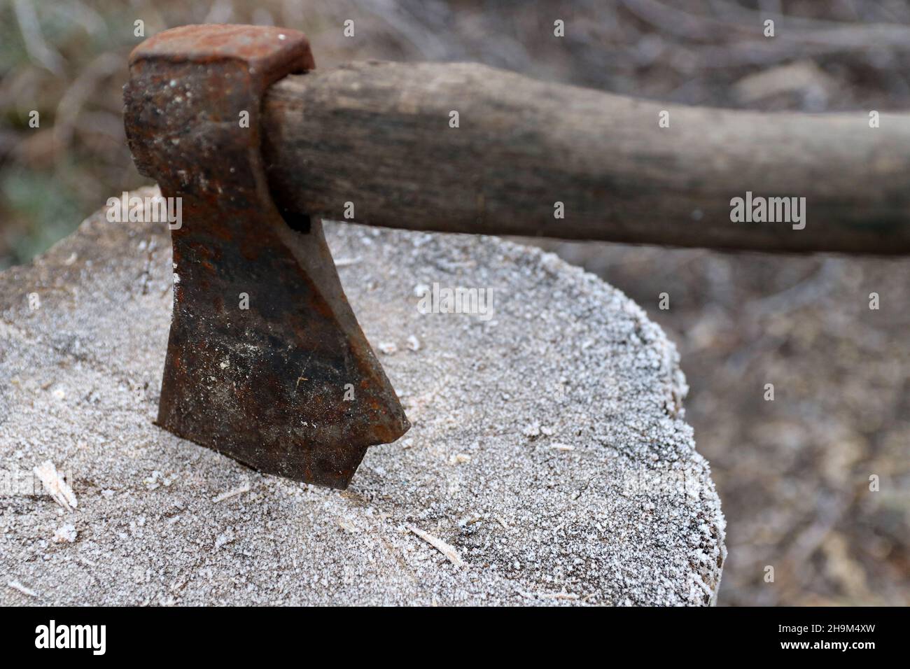 The broken ax is thrust into the stump Stock Photo - Alamy