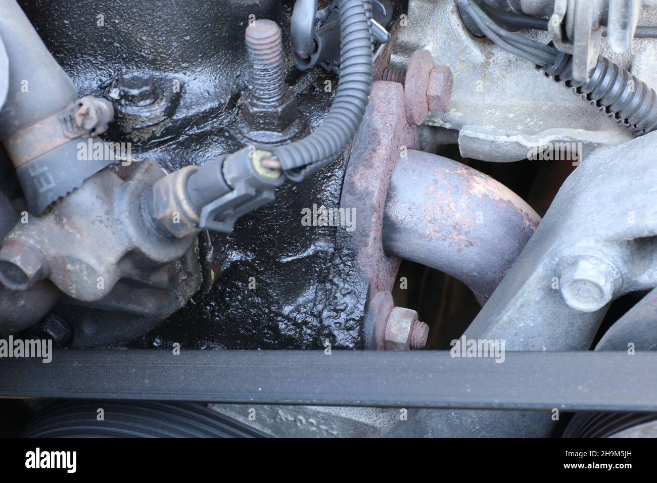 Auto oil drips on the car engine. Cylinder head cover gasket is damaged