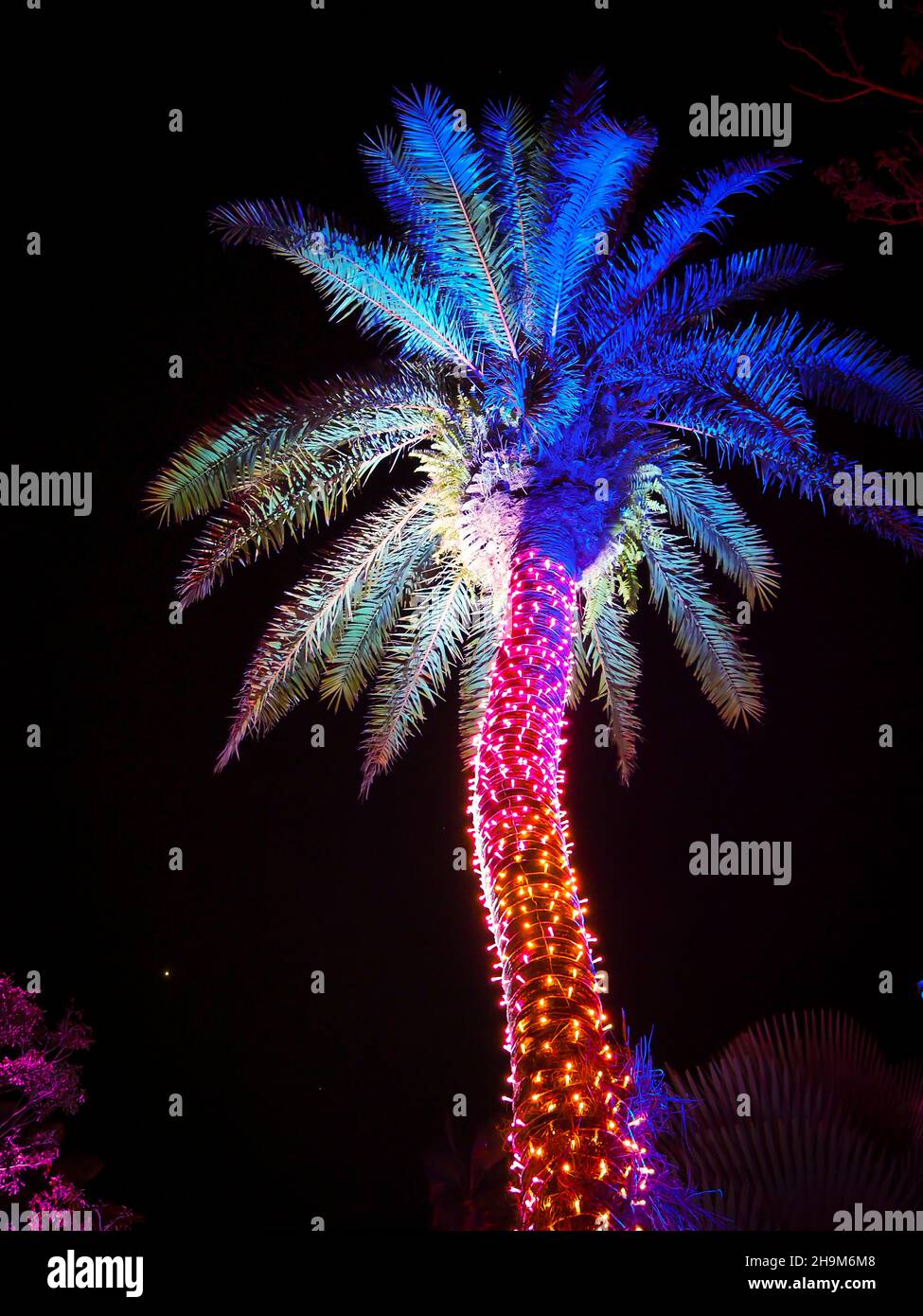 Johnsonville Night Lights in the Garden Christmas 2021 at the Naples