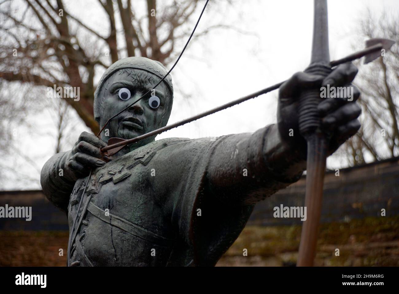 Robin Hood, with plastic eyes. Close up. Stock Photo