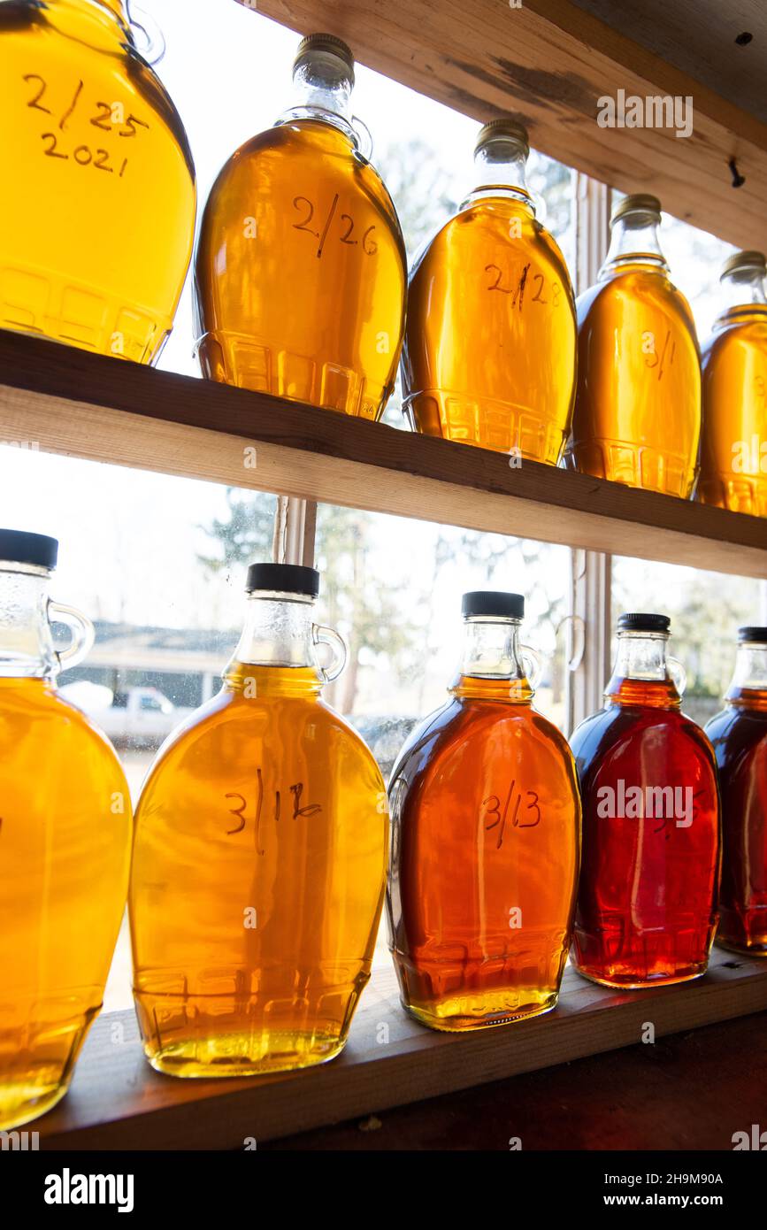 Grades of Maple Syrup, Valley View Farm, Topsfield, North Shore