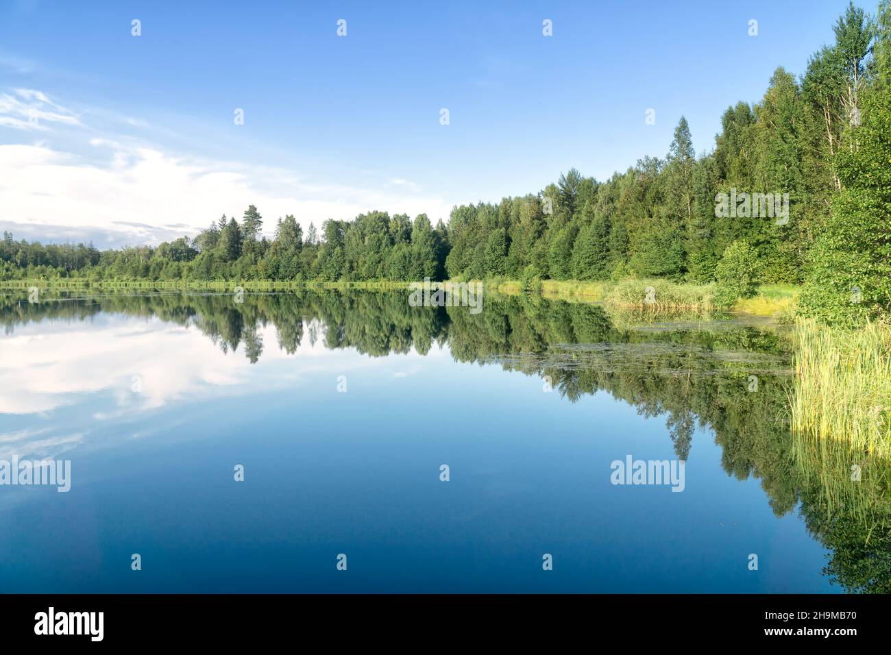 Summer landscape on woodland lake, Podlasie, Poland. Reflection of trees and blue sky with white clouds in the water. Travel and outdoor recreation. Stock Photo