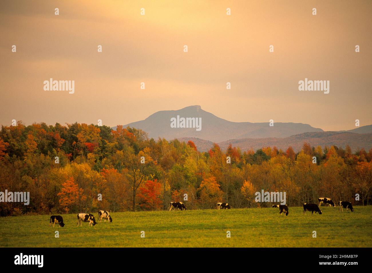 Autumn view of Camel's Hump from Route 7, Charlotte, Vermont, USA Stock Photo