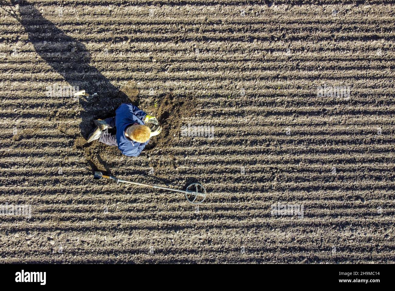 Detectorist searcing on newly sown land Stock Photo - Alamy