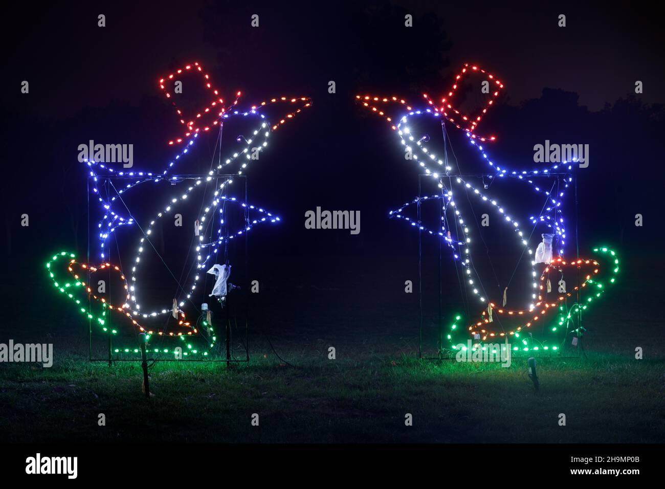 Fantasy Of Lights Los Gatos 2024 Tickets Corie Donelle