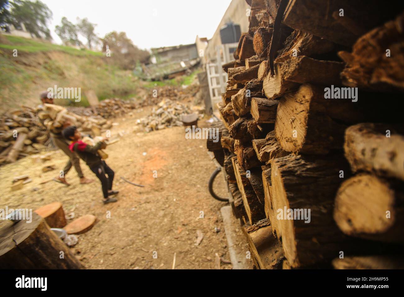 Tamer el said hi-res stock photography and images - Alamy