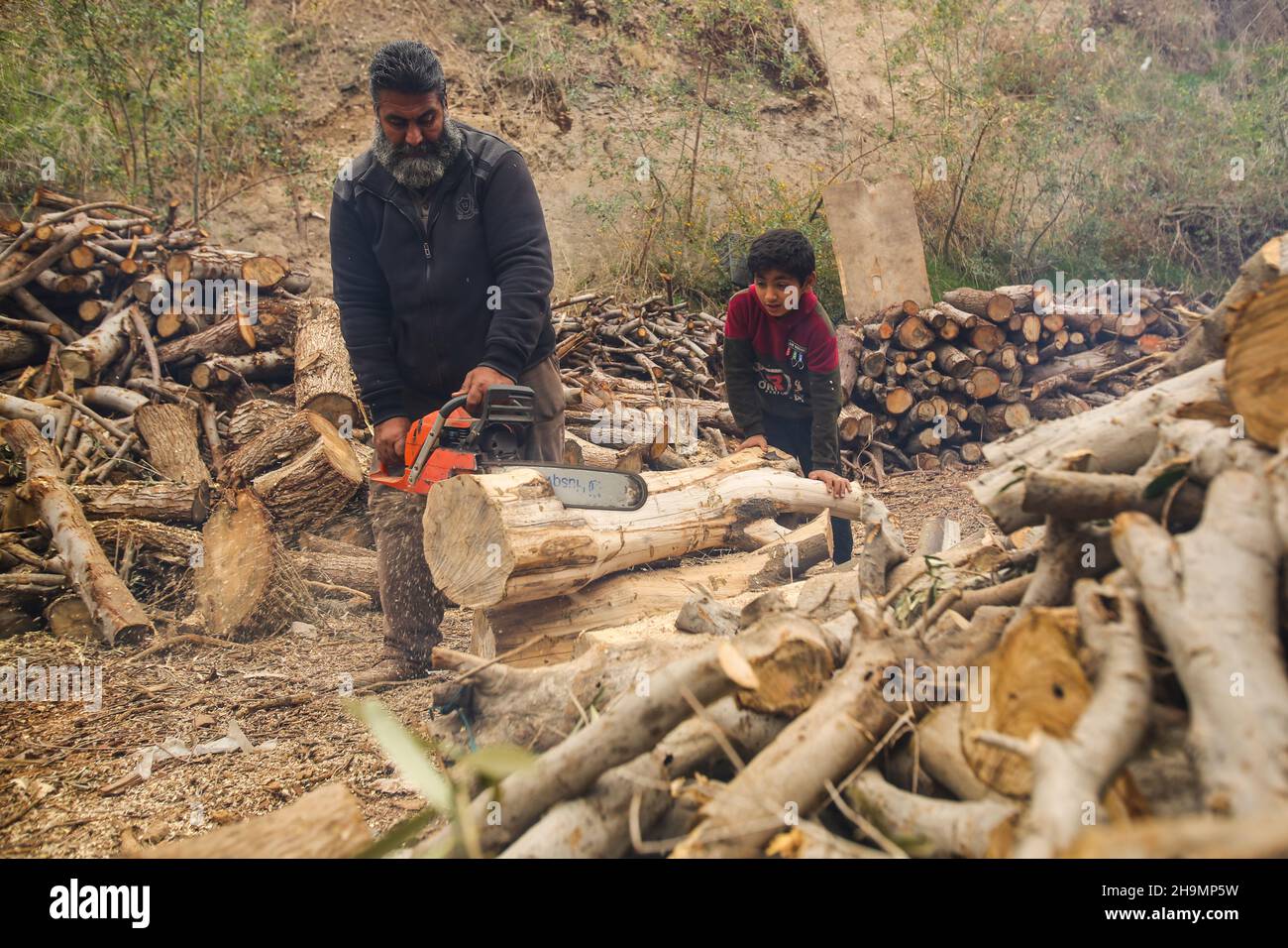 Saw the 150 hi-res stock photography and images - Alamy