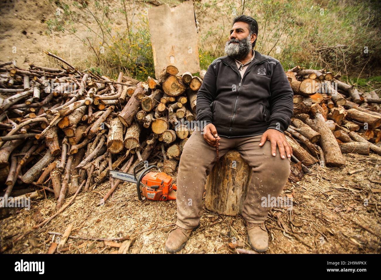 Raed Abd El-Aal resting on a wood trunk.Raed Abd El-Aal 52 years old ...