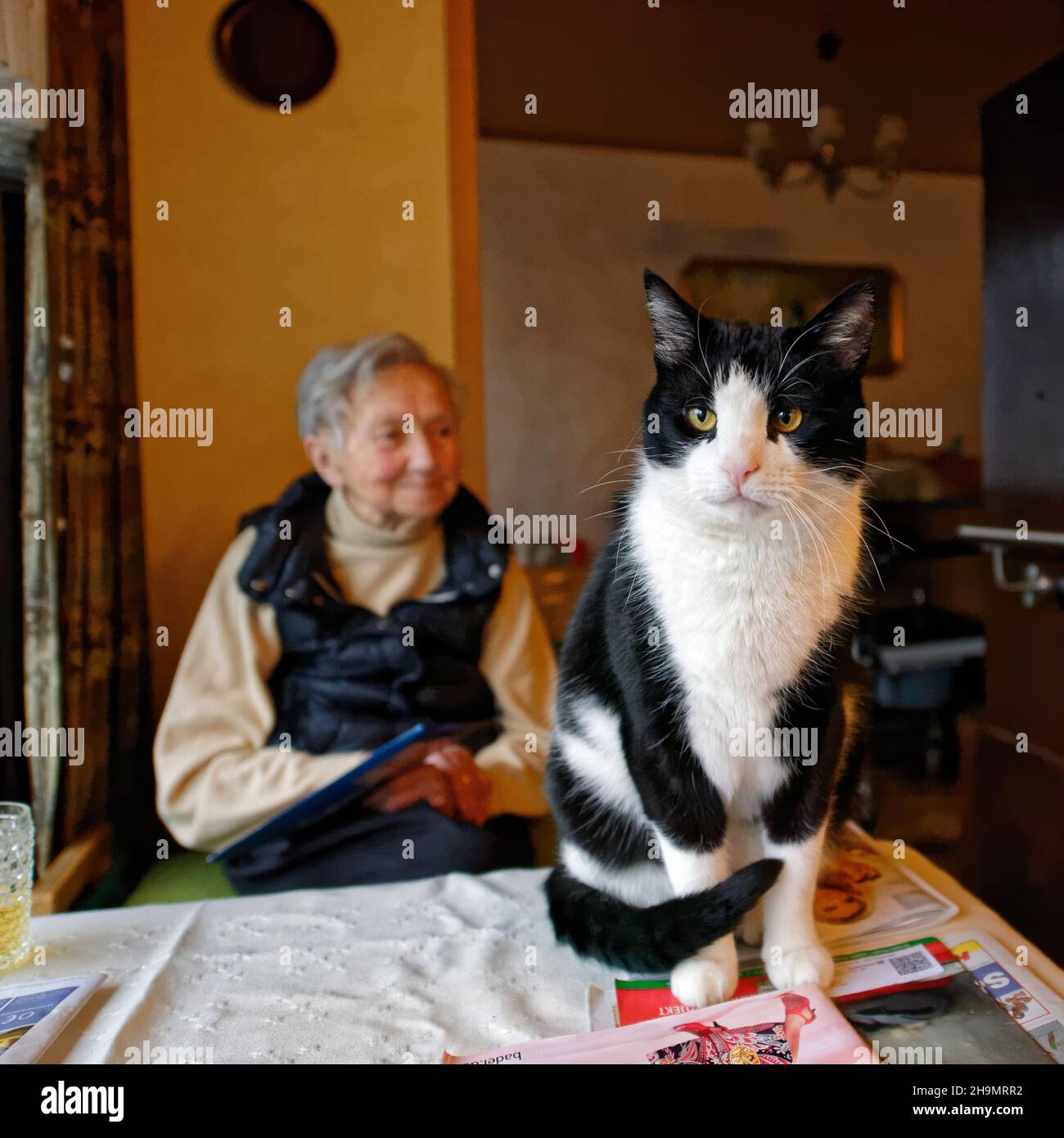 Tante Anna und Kater Georg. Stock Photo