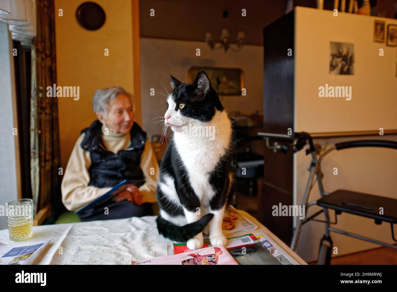 Tante Anna und Kater Georg. Stock Photo