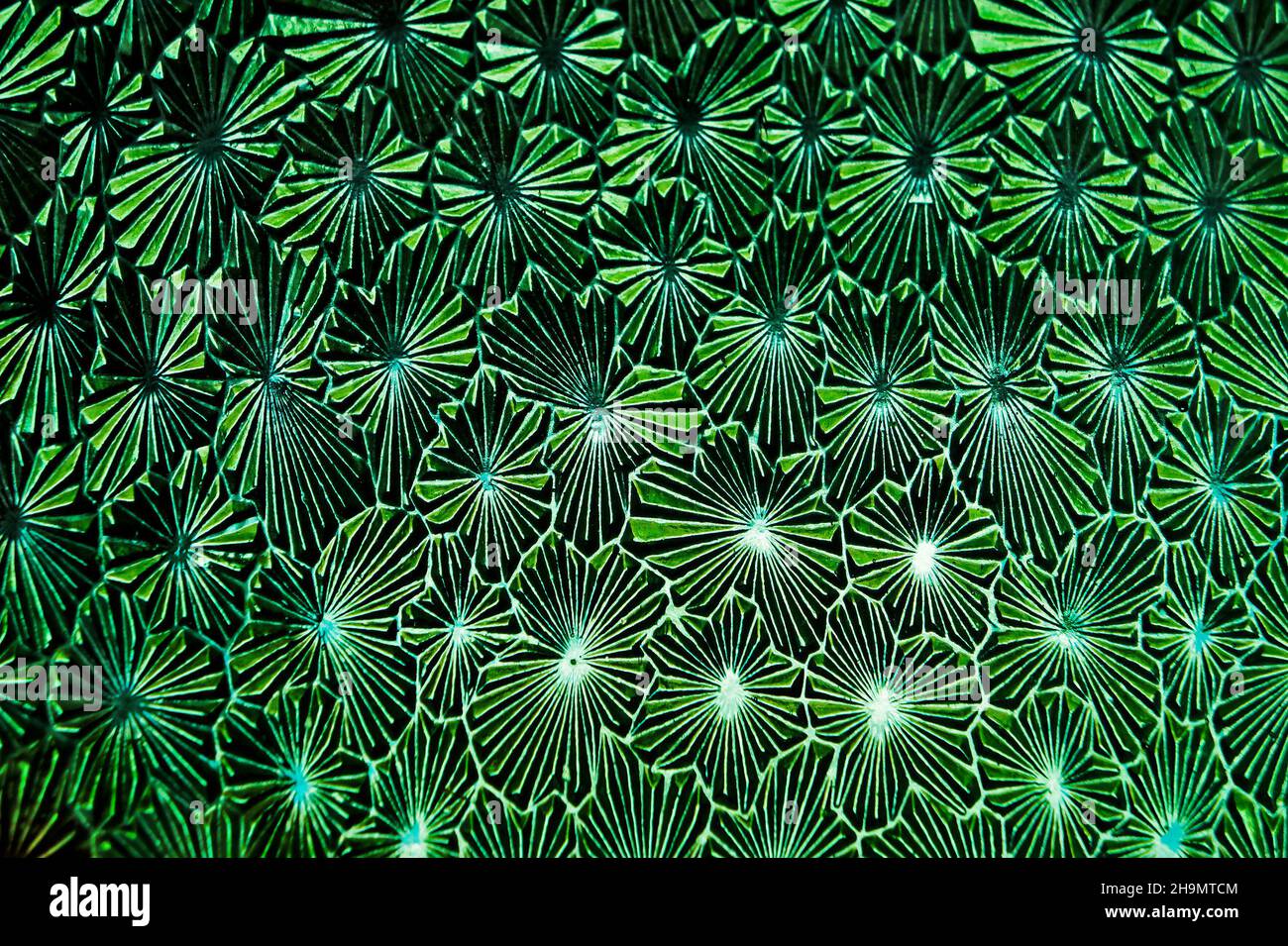 Ancient engraved glass, church door detail Stock Photo Alamy