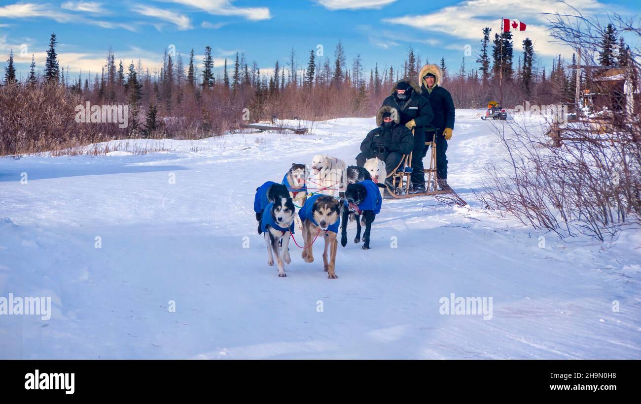 Churchill, Manitoba - February 26, 2014. Tourists and a musher riding on a traditional dog sled being pulled by a team of six huskies who are wearing Stock Photo