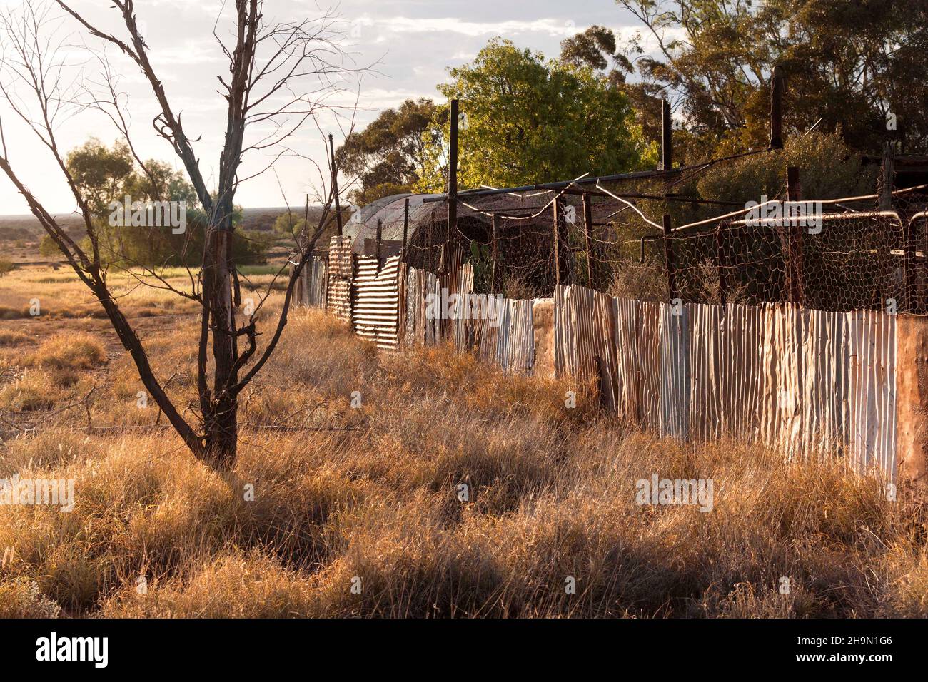 Corrugated iron fence of  the historical gold mining town Gwalia, Leonora,  Western Australia Stock Photo