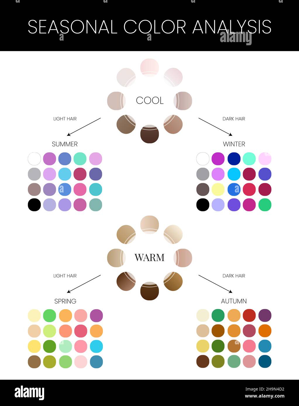 Seasonal Skin Color Analysis Chart with Summer, Winter, Autumn and Spring Color  Palette Stock Vector Image & Art - Alamy