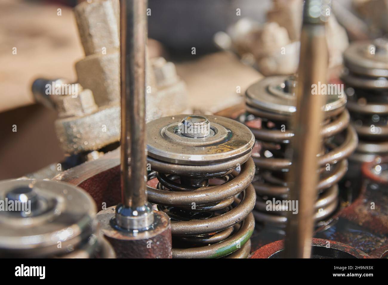 Intake and Exhaust Valve and Engine Oil and Fuel Injector of Car Engine