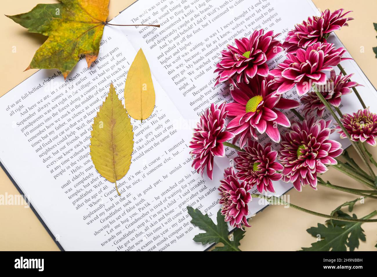 Open book, autumn leaves and flowers on color background, closeup Stock ...