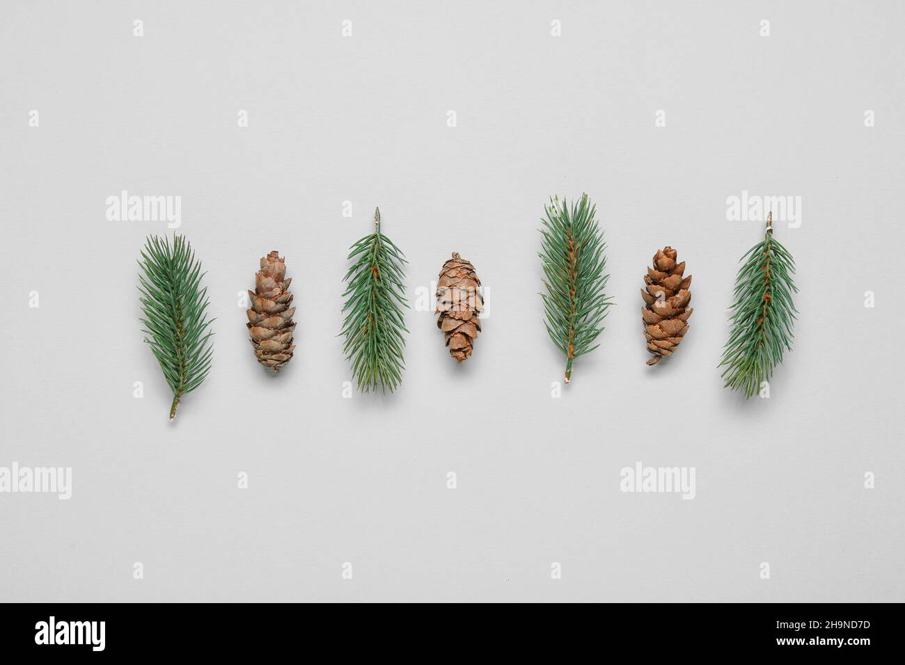 Fir branches and cones on white background Stock Photo - Alamy
