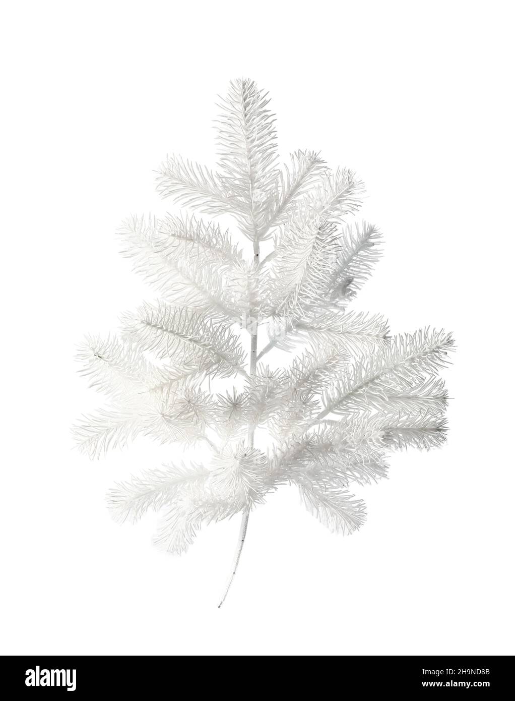 Beautiful Christmas tree isolated on white background Stock Photo - Alamy