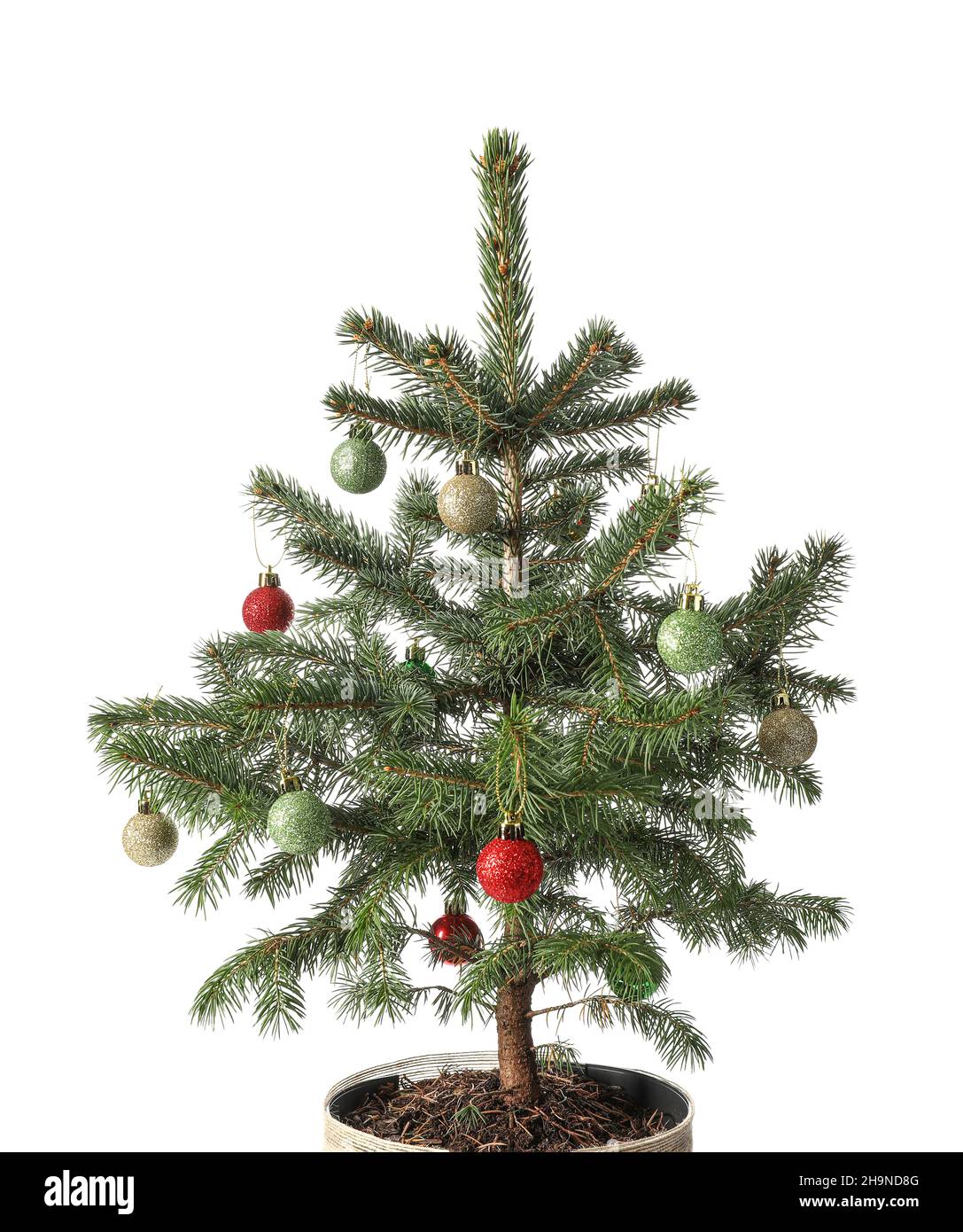 Christmas tree with beautiful balls isolated on white background Stock ...