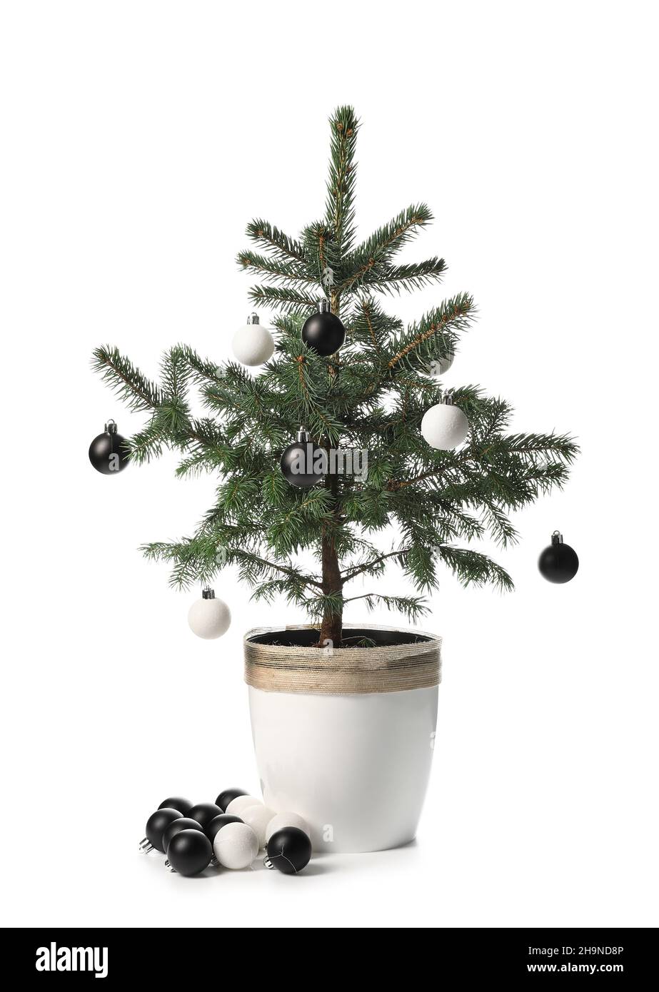 Christmas tree with beautiful balls isolated on white background Stock ...