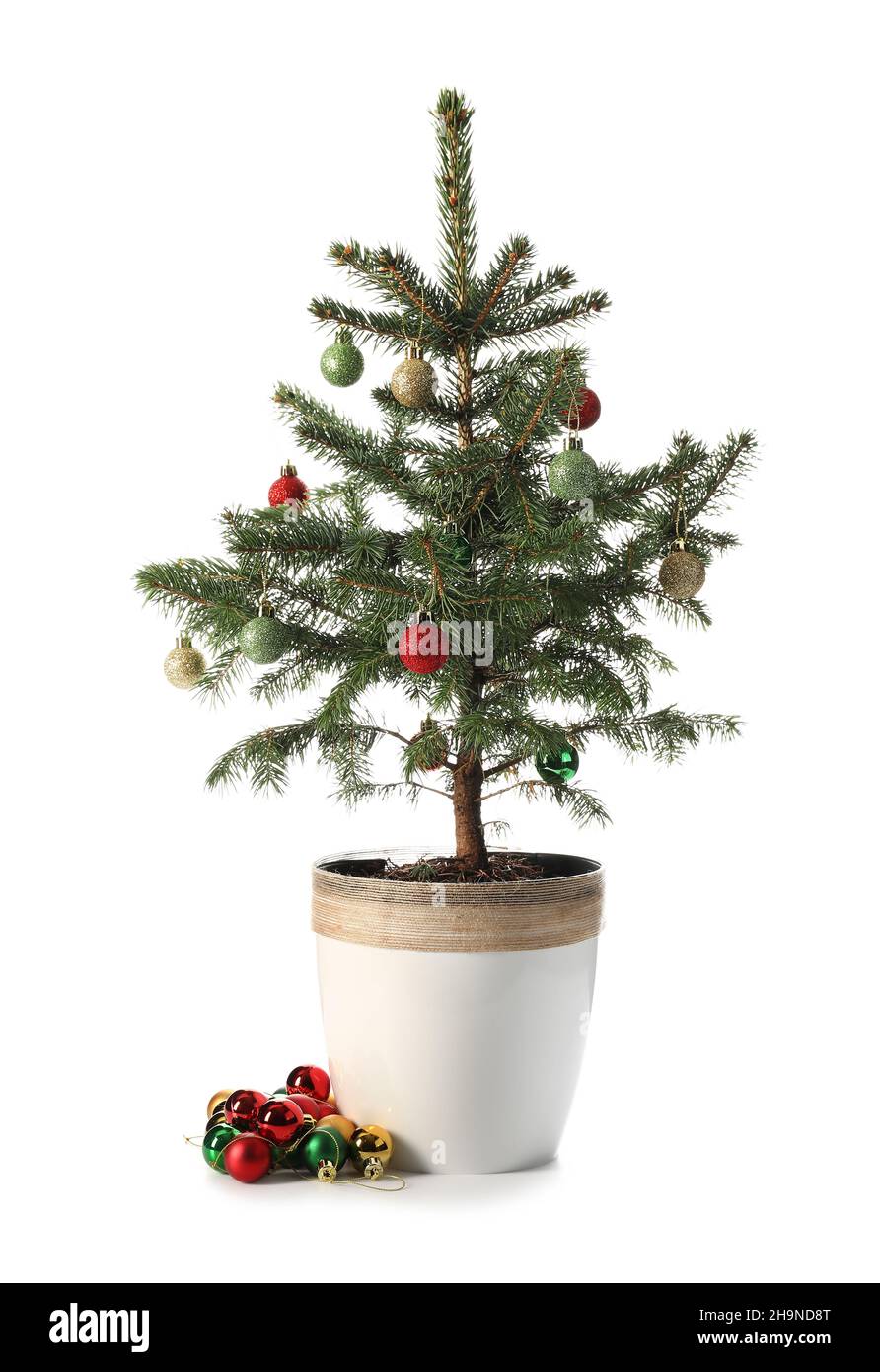 Christmas tree with beautiful balls isolated on white background Stock ...