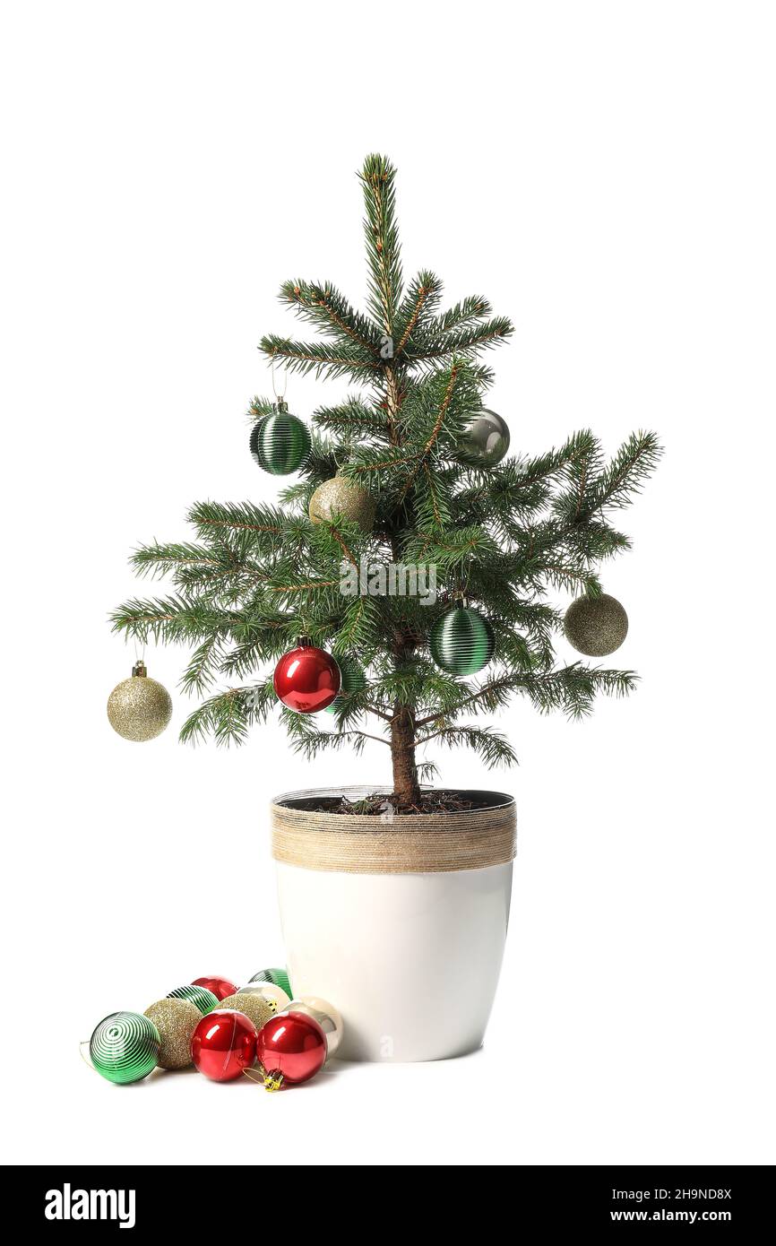 Christmas tree with beautiful balls isolated on white background Stock ...