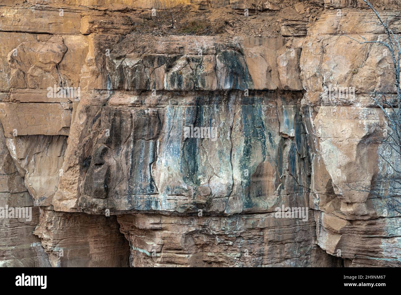 Vertical wall in a mountain canyon Stock Photo Alamy
