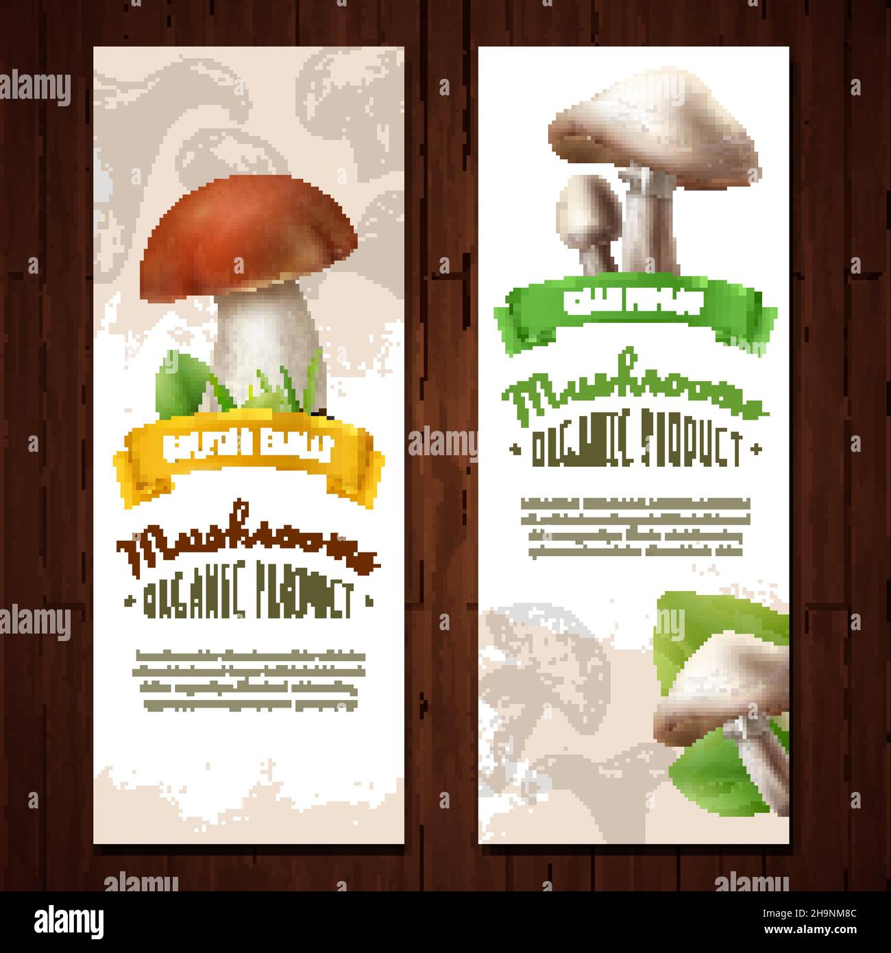 Mushrooms vertical banners set with images of edible boletus and champignons with decorative background and text vector illustration Stock Vector