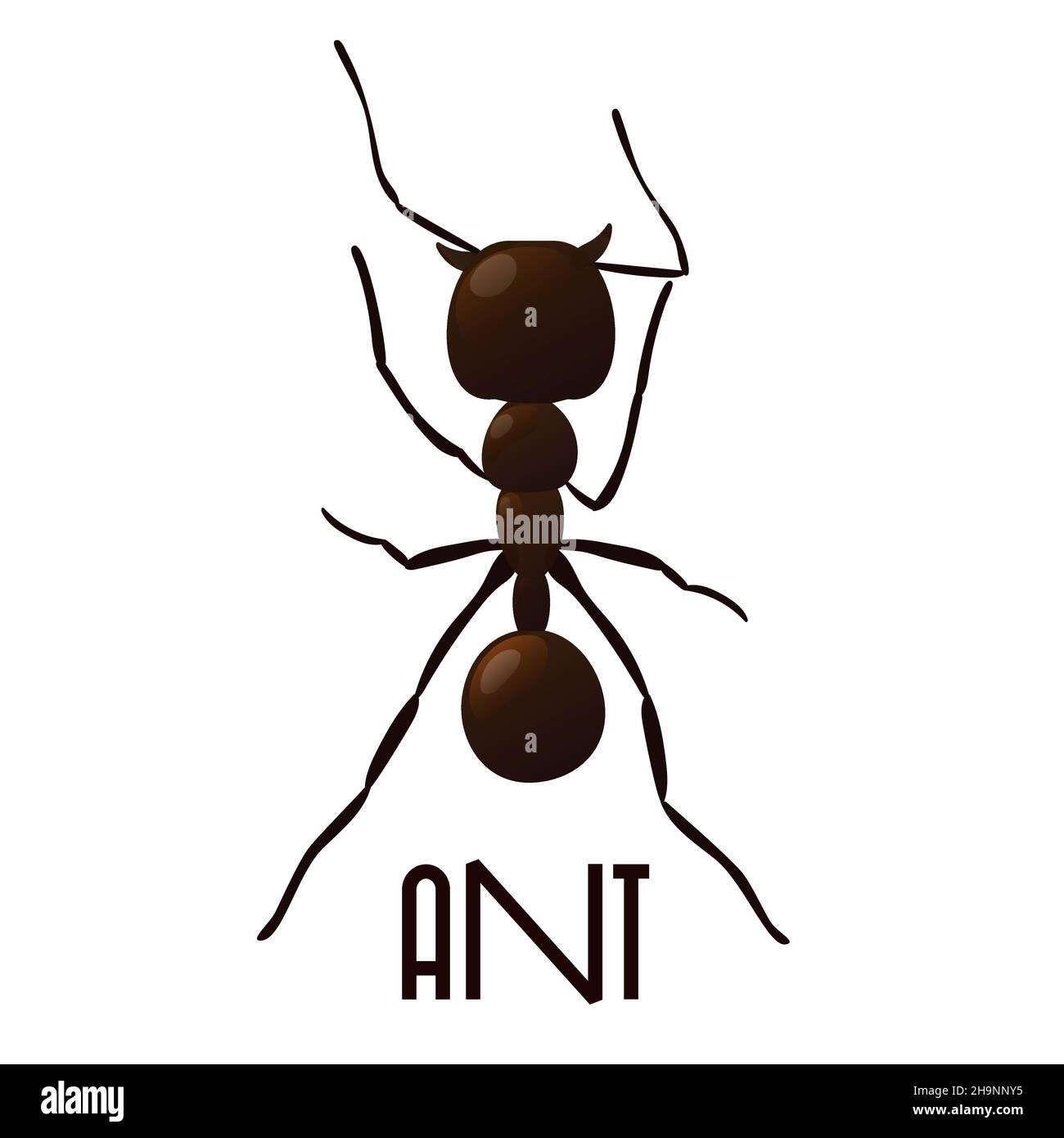 Black ant trail. Working insect curve group silhouettes isolated on ...