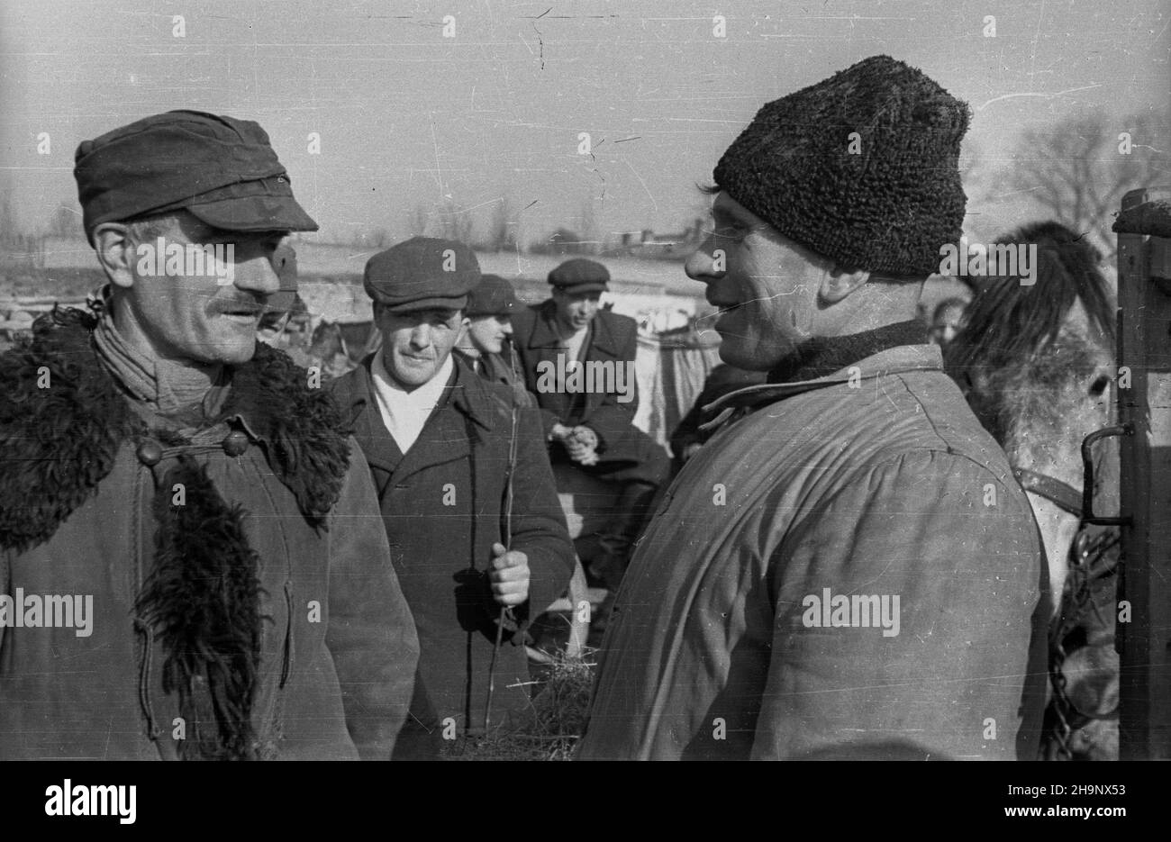 Rawa Mazowiecka, 1949. Targ oraz skup produktów rolnych od okolicznych mieszkañców, prowadzony przez Gminn¹ Spó³dzielniê Samopomoc Ch³opska. pw  PAP    Dok³adny miesi¹c i dzieñ wydarzenia nieustalone.      Rawa Mazowiecka, 1949. The market and the purchase of agricultural products from local farmers by the District Cooperative Peasant Self-help.   pw  PAP Stock Photo