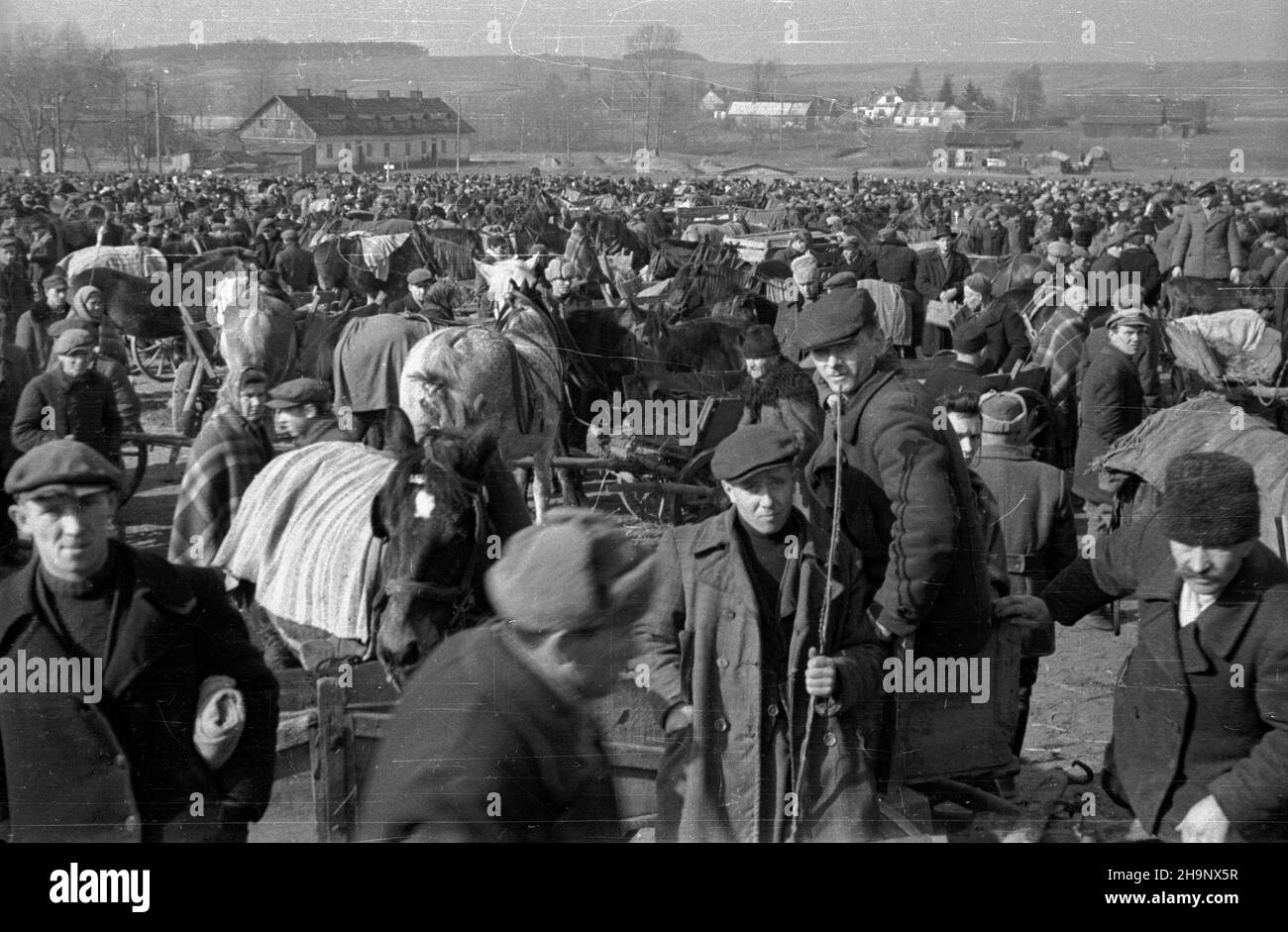 Rawa Mazowiecka, 1949. Targ oraz skup produktów rolnych od okolicznych mieszkañców, prowadzony przez Gminn¹ Spó³dzielniê Samopomoc Ch³opska. pw  PAP    Dok³adny miesi¹c i dzieñ wydarzenia nieustalone.      Rawa Mazowiecka, 1949. The market and the purchase of agricultural products from local farmers by the District Cooperative Peasant Self-help.   pw  PAP Stock Photo