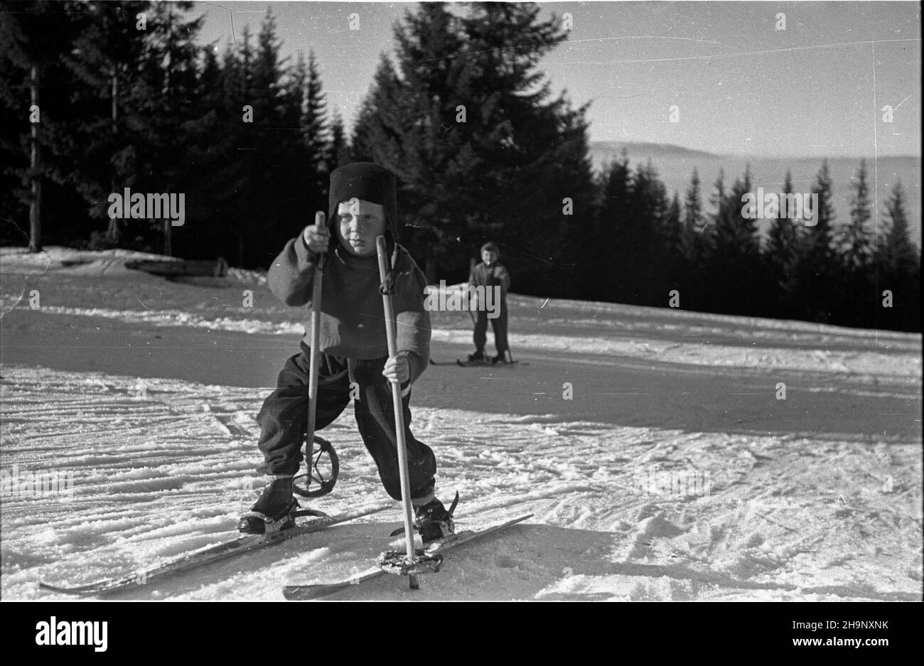 Zakopane, 1949-01. M³odzi narciarze na stoku Guba³ówki. wb  PAP  Dok³adny dzieñ wydarzenia nieustalony.      Zakopane, Jan. 1949. Young skiers on Gubalowka Mountain.  wb  PAP Stock Photo