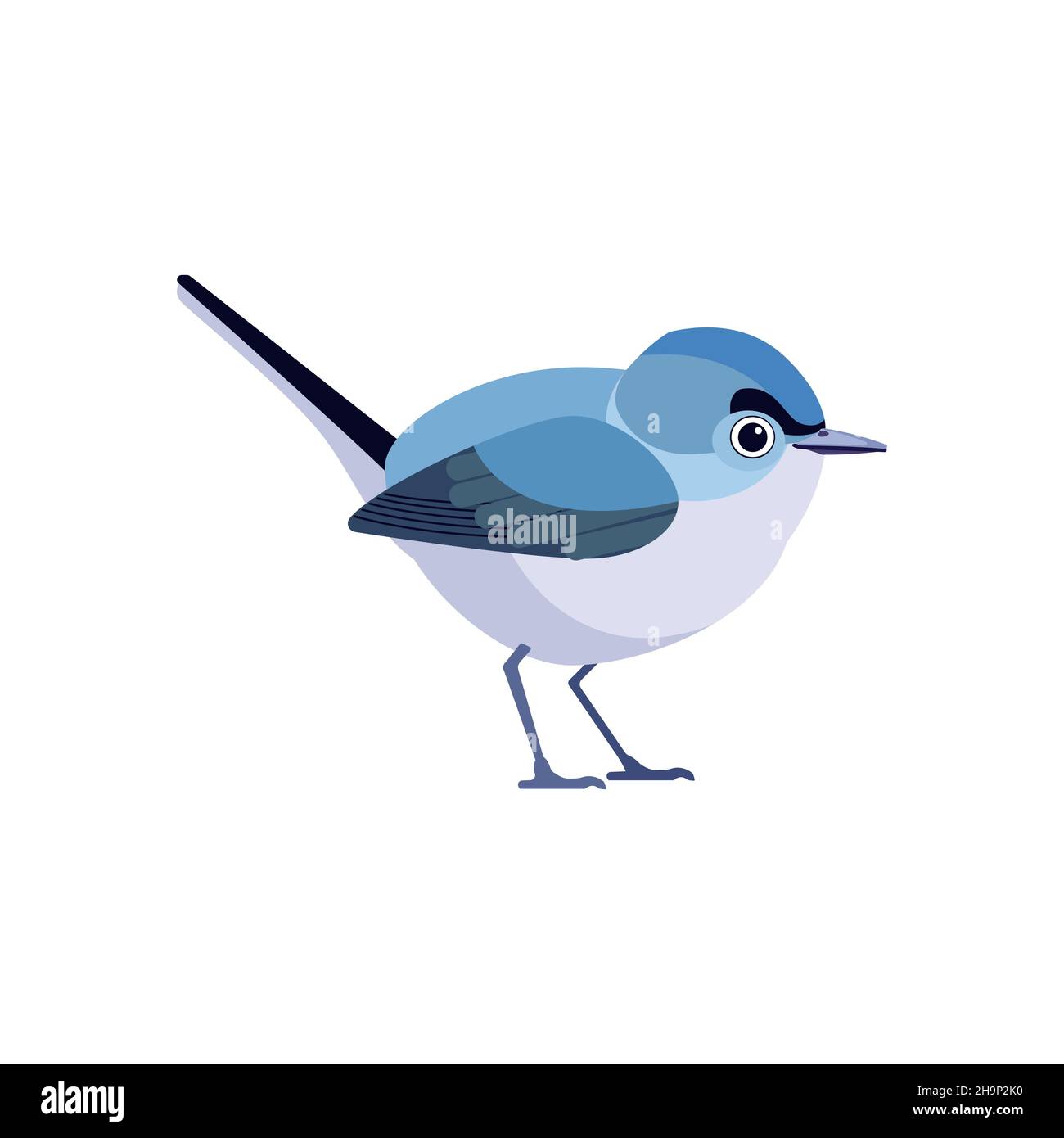 Very small songbird blue-gray gnatcatcher in the family gnatcatcher. Tiny cute bird Cartoon, flat style character of ornithology, vector illustration Stock Vector