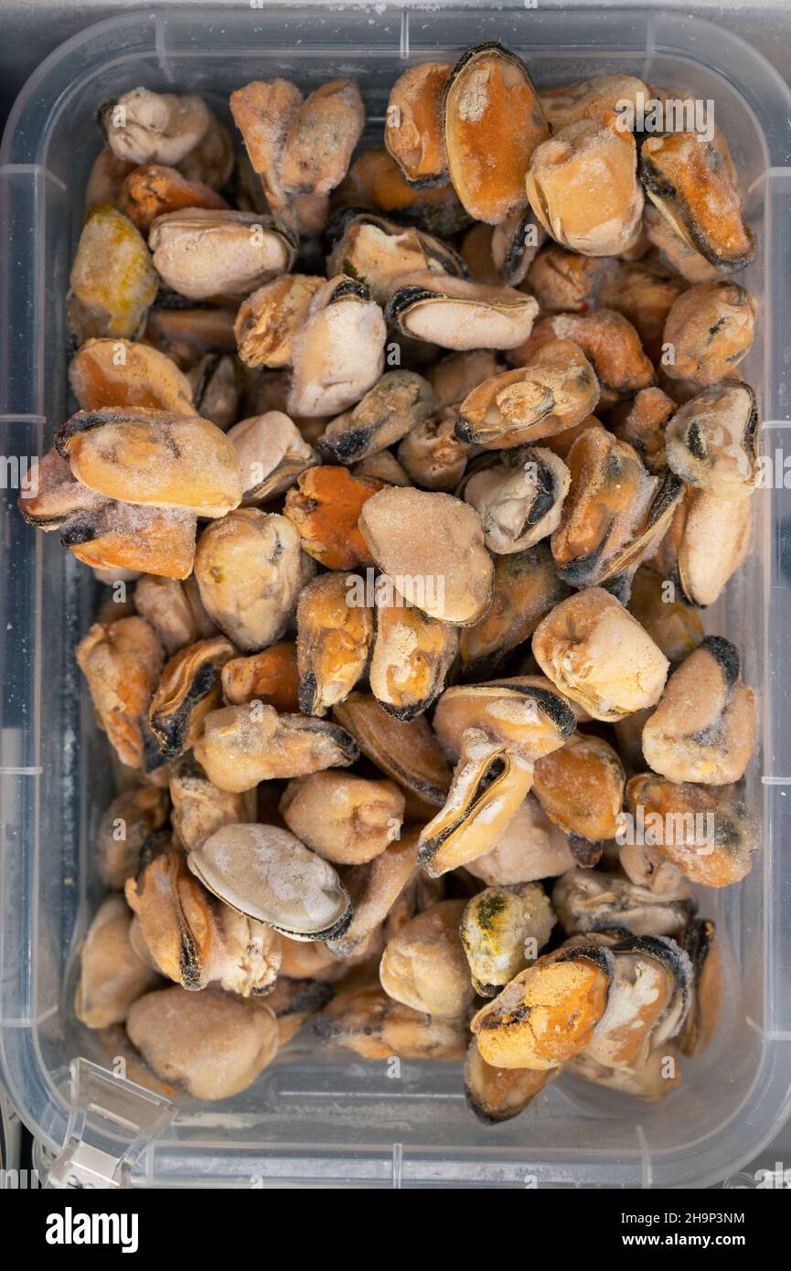 Frozen mussels in fridge at the fish market. Healthy eating and fish ...