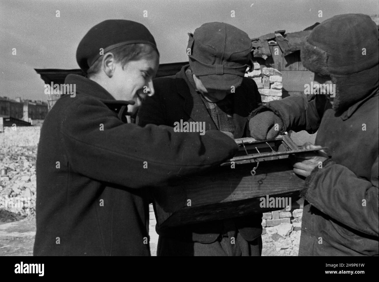 Warszawa, 1949-02. Naprawa go³êbnika.  mw  PAP/Wiktor Janik    Dok³adny dzieñ wydarzenia nieustalony.      Warsaw, Feb. 1949. Repairing a dovecote.  mw  PAP Stock Photo