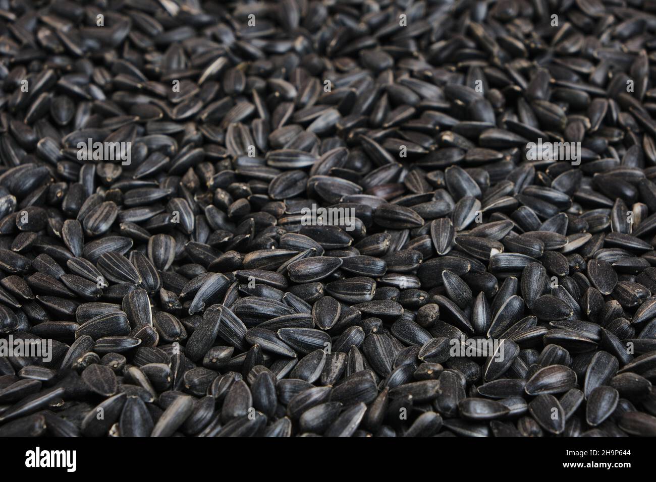 Black oil sunflower seed hi-res stock photography and images - Alamy