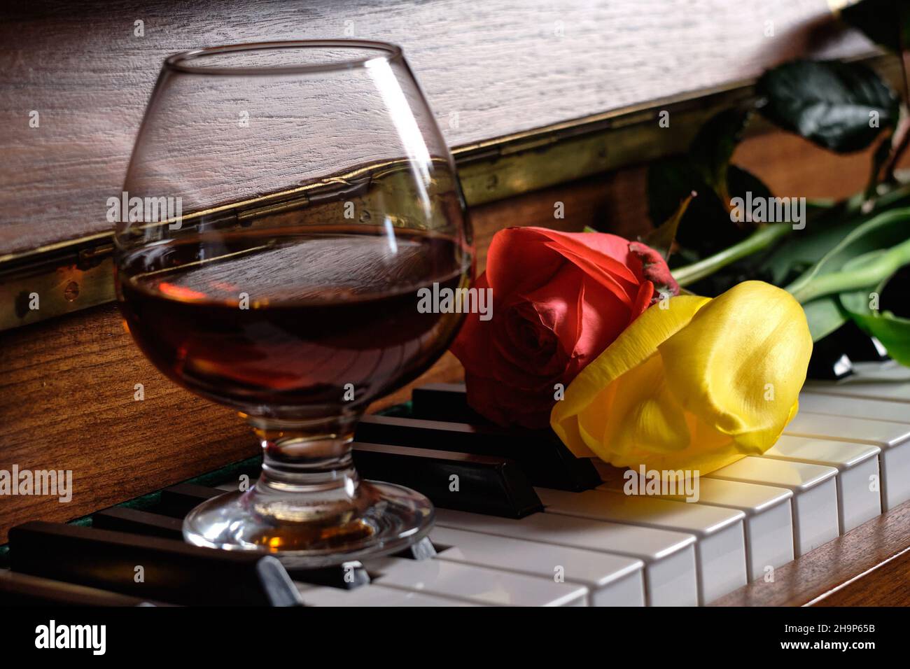 The refraction behind the snifter and the reflection of the warm wood on the surface of the old brandy with a bright yellow tulip on a piano keyboard Stock Photo