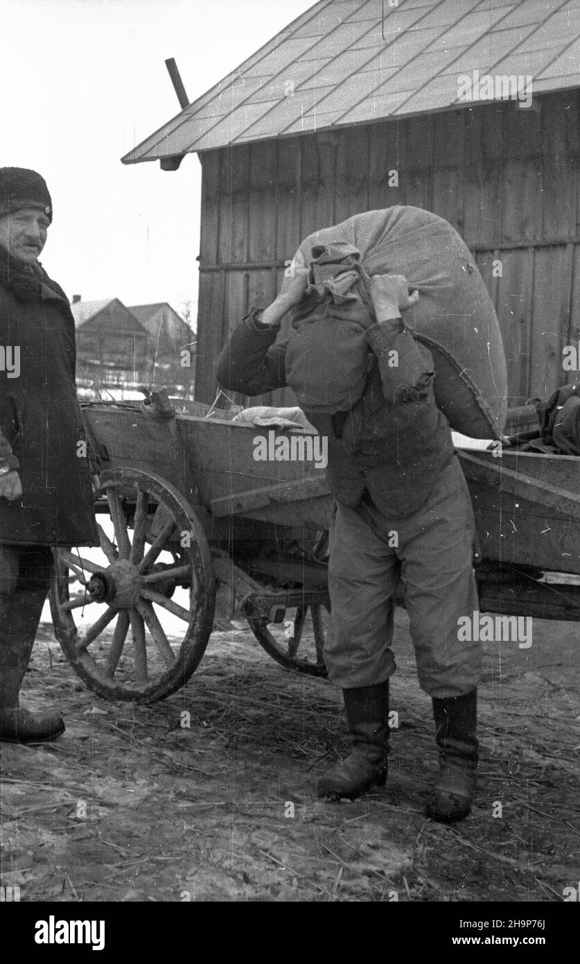 Gorzków ko³o Krasnegostawu, 1949-02. M³yn wodny. Roz³adunek worków ze zbo¿em przywiezionych do m³yna. msa  PAP    Dok³adny dzieñ wydarzenia nieustalony.      Gorzkow near Krasnystaw, Feb. 1949. A watermill. Unloading sacks of grain brought to the mill.  msa  PAP Stock Photo