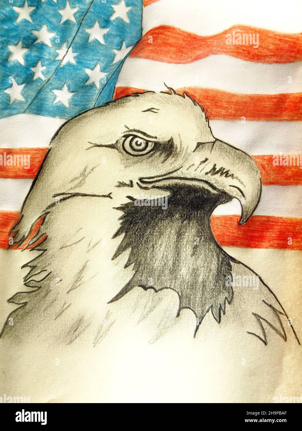 Hand drawn bald eagle and American flag Stock Photo