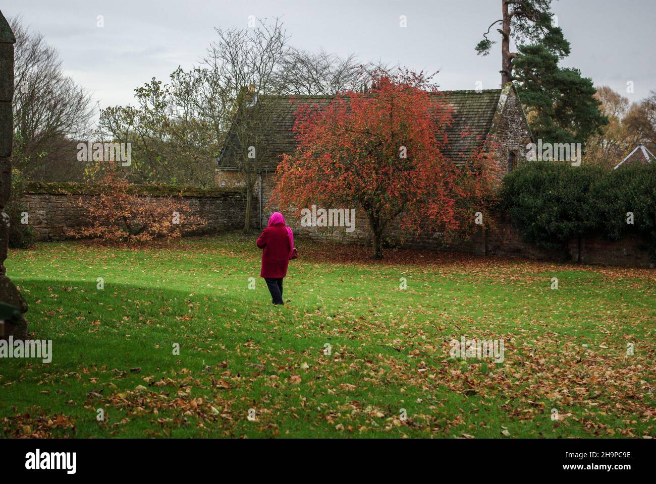 Back view of a woman in red coat and headscarf, wrapped up against the winter chill, walking through a church yard, UK Stock Photo