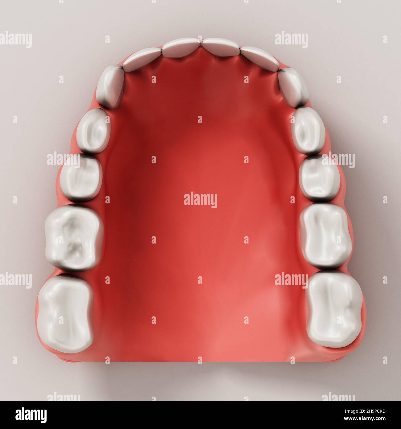 The mandible lower jaw or jawbone with teeth 3D illustration Stock