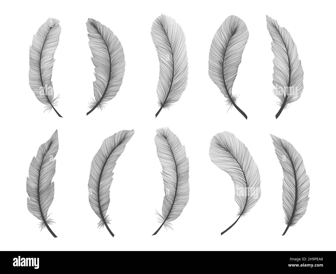Pencil Drawing Quill Inkwell Feather Line Art Fountain Pen Writing  Implement transparent background PNG clipart  HiClipart